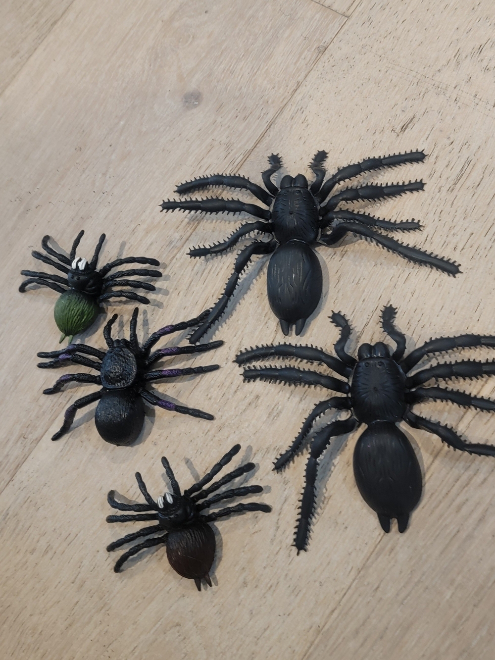 Halloween  Spider  Black